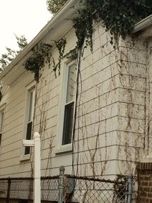 Residential Pressure Washing & Painting in Collingdale, PA (1)
